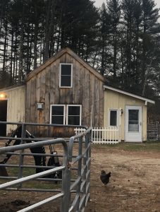 Windcroft Stables Farm Stays